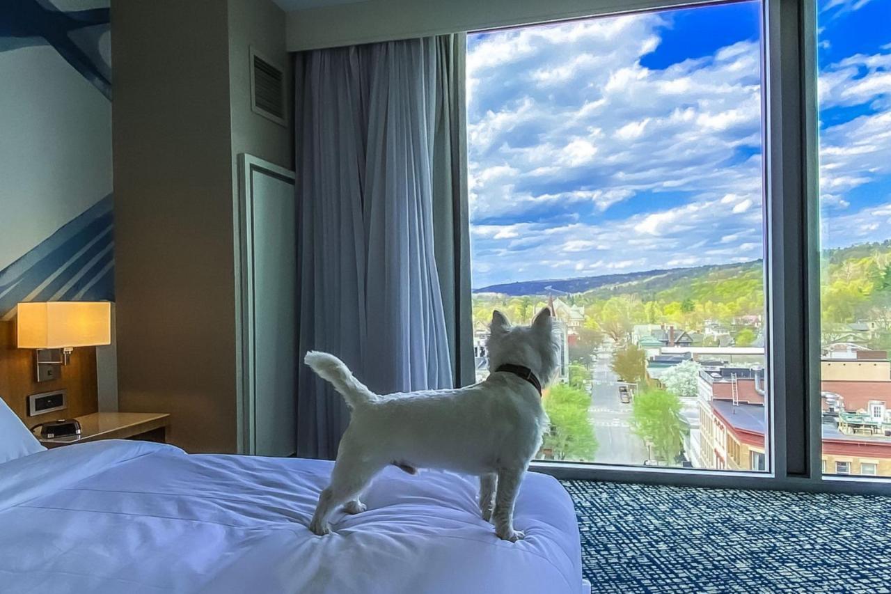 อีทากา แมริออท ดาวน์ทาวน์ ออน เดอะ คอมมอน Hotel อิทากา ภายนอก รูปภาพ